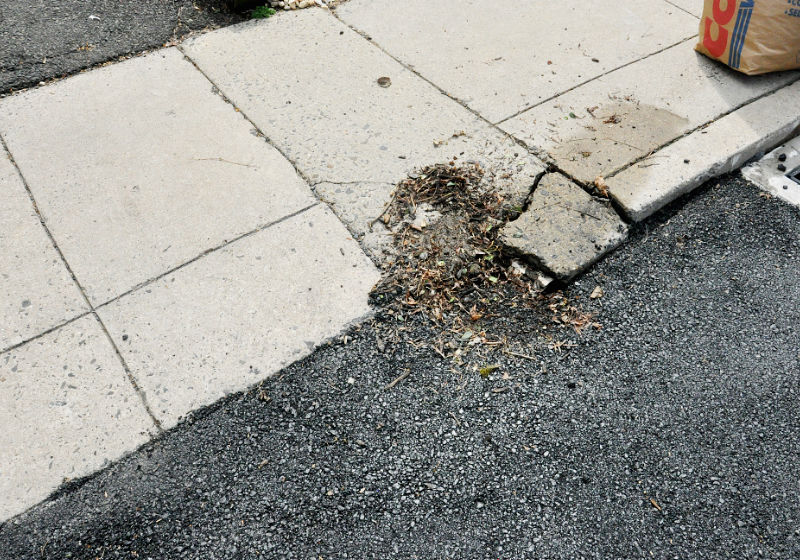 PHotos shows damage to a sidewalk apron in Jenkintown.